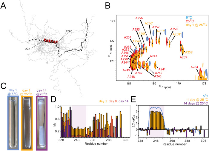 PMC10908835 – Fig2