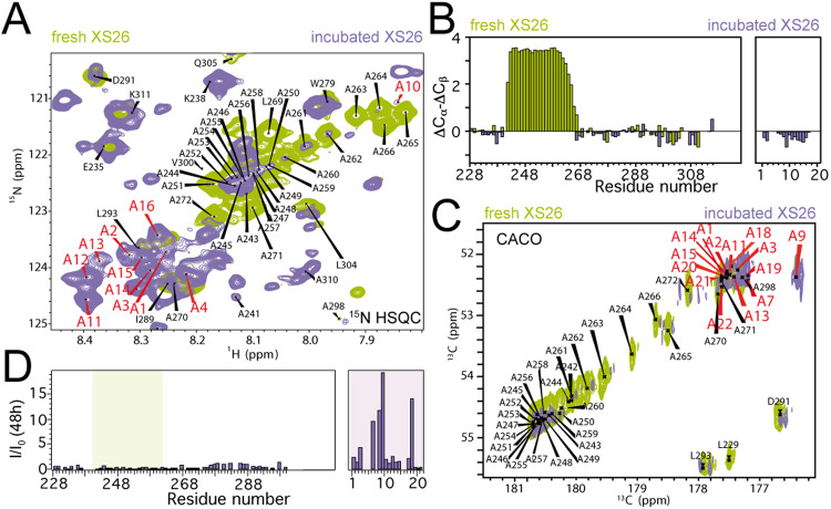 PMC10908835 – Fig4