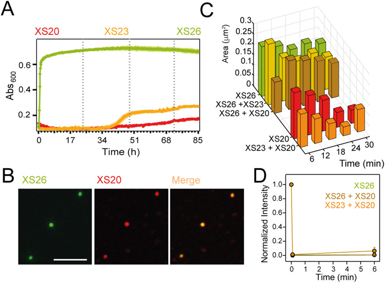 PMC10908835 – Fig5
