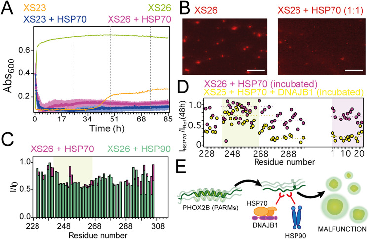 PMC10908835 – Fig6