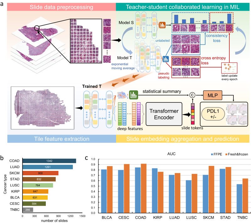 PMC11004138 – Fig1