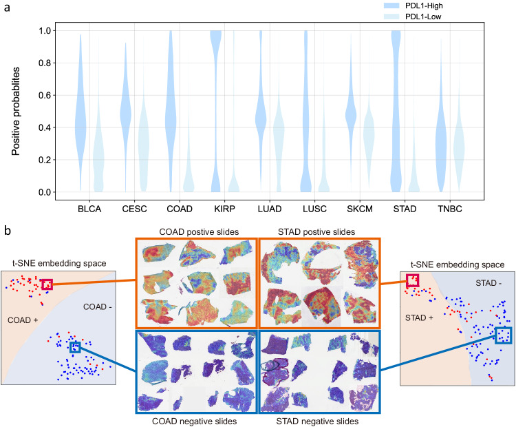 PMC11004138 – Fig3
