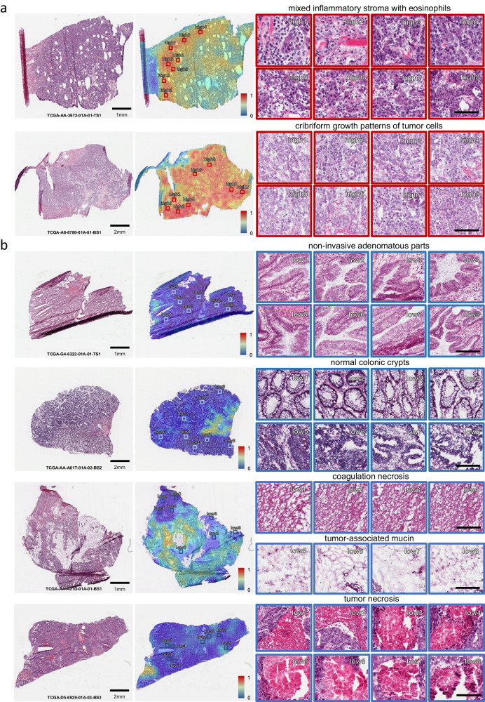PMC11004138 – Fig4