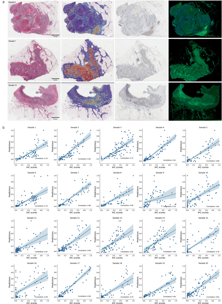 PMC11004138 – Fig5