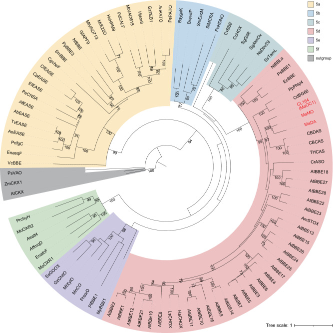 PMC10954736 – Fig1