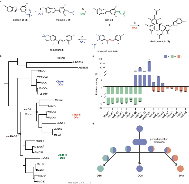 PMC10954736 – Fig2