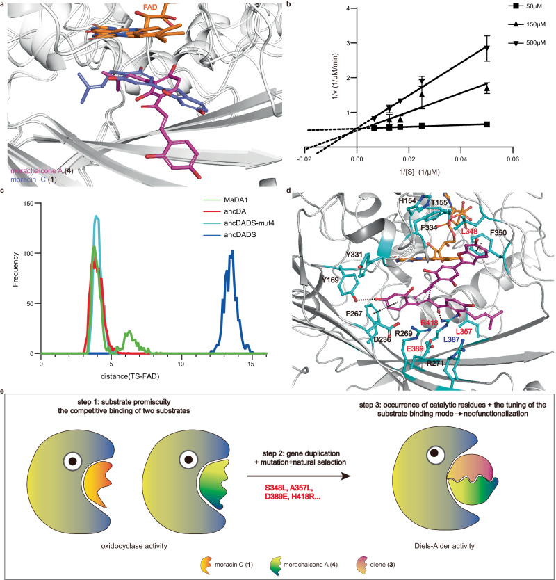 PMC10954736 – Fig5