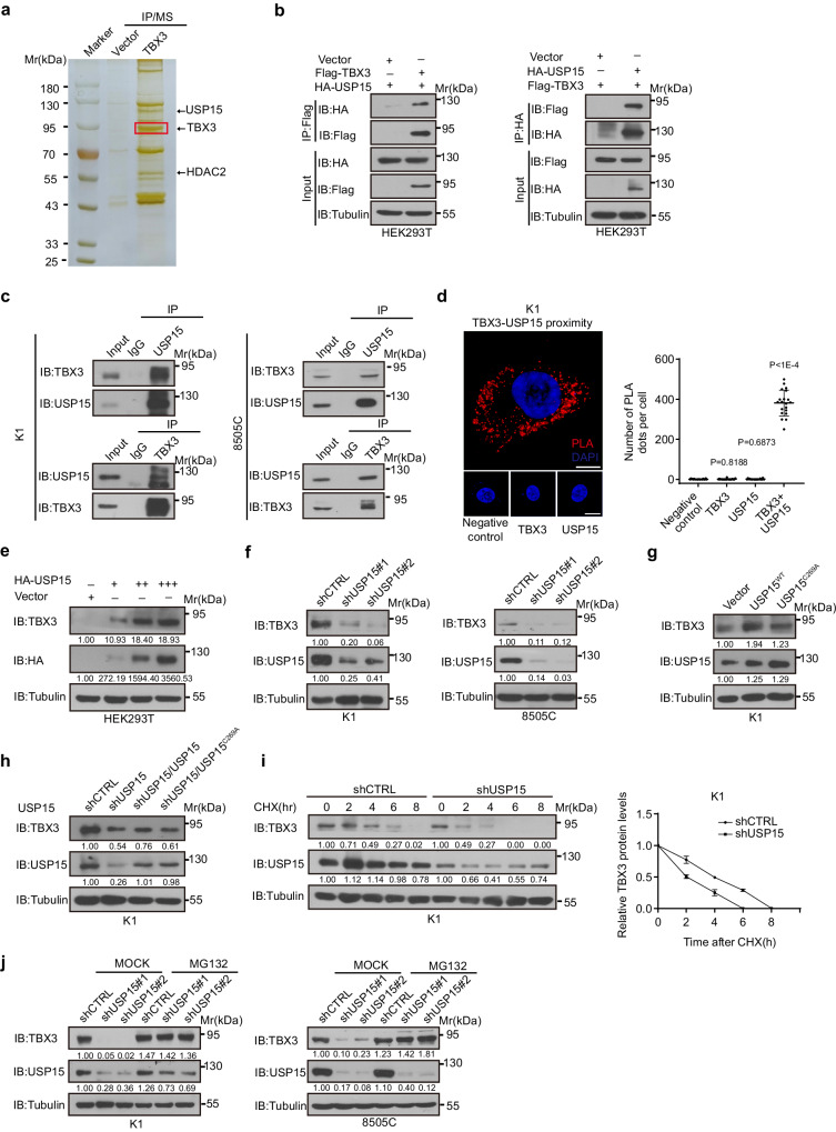 PMC11096176 – Fig1