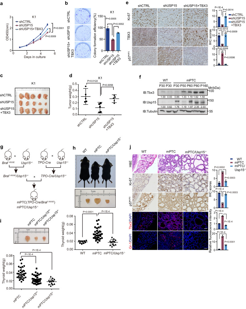 PMC11096176 – Fig3