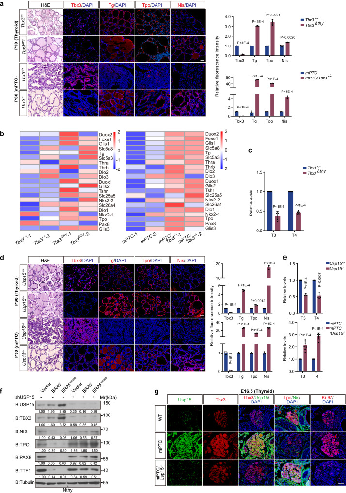 PMC11096176 – Fig7