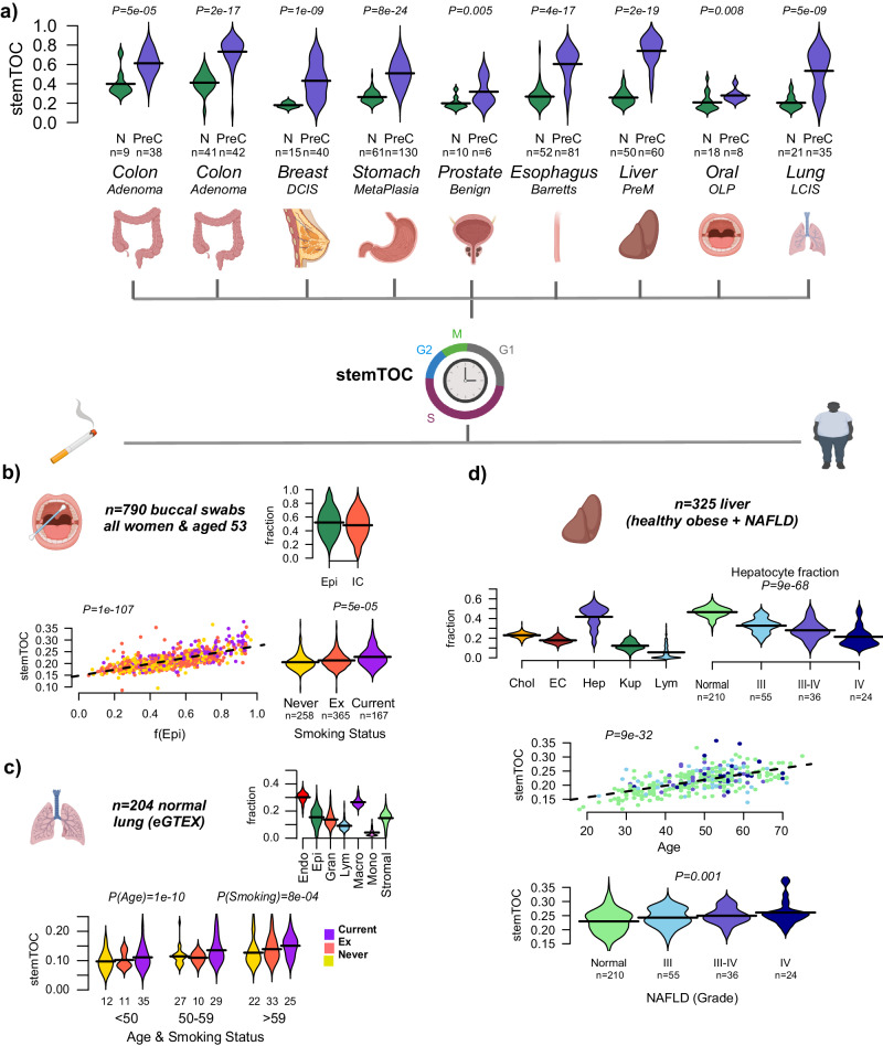 PMC11101651 – Fig4