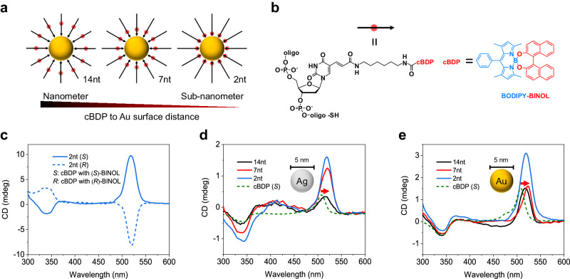 PMC11156920 – Fig1