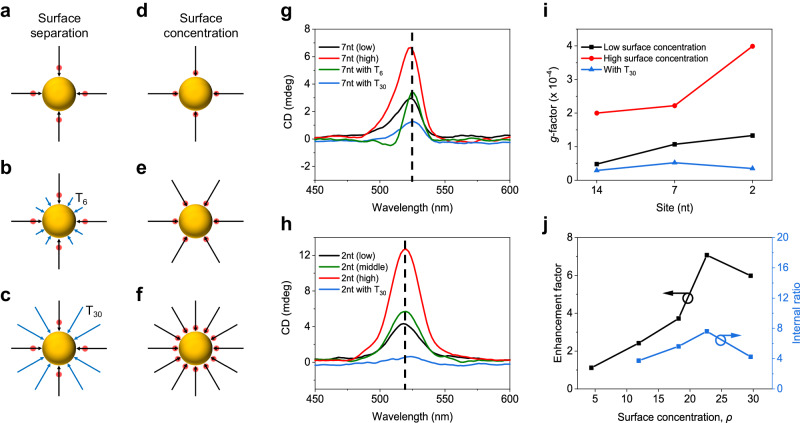 PMC11156920 – Fig2