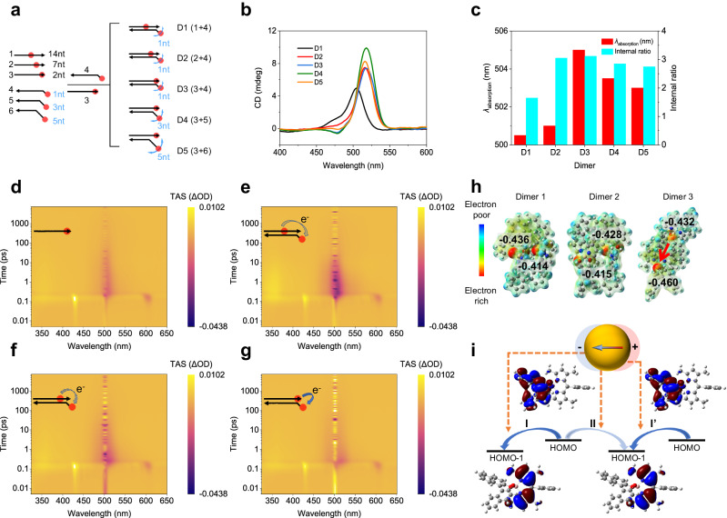 PMC11156920 – Fig3
