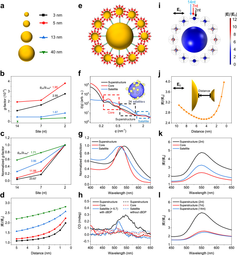 PMC11156920 – Fig4