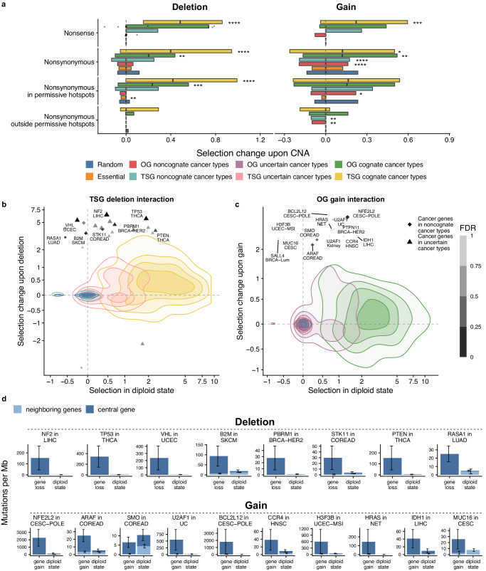 PMC11271286 – Fig3