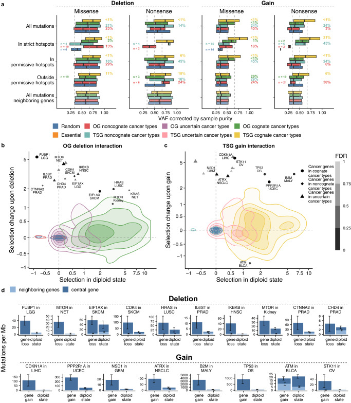 PMC11271286 – Fig4
