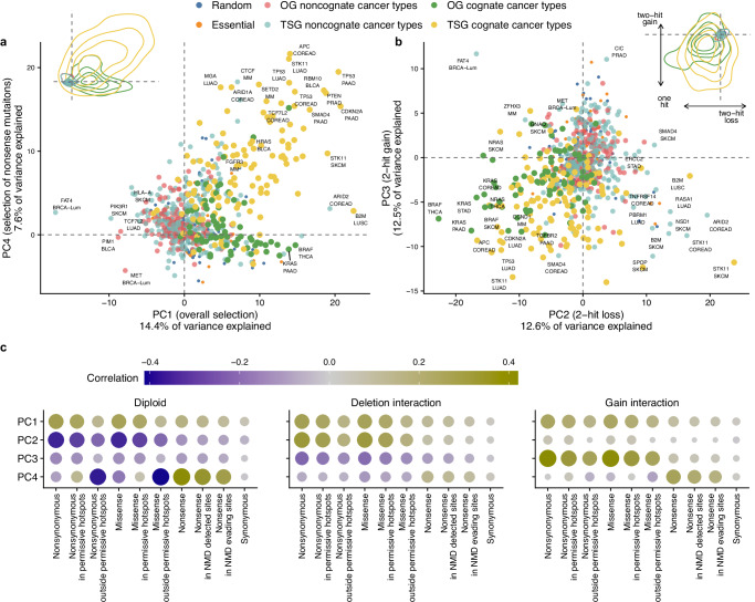 PMC11271286 – Fig5