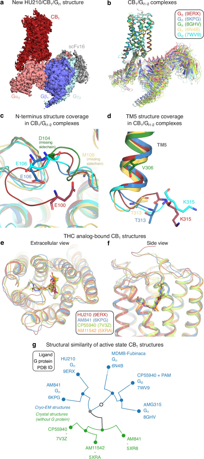 PMC11711184 – Fig1