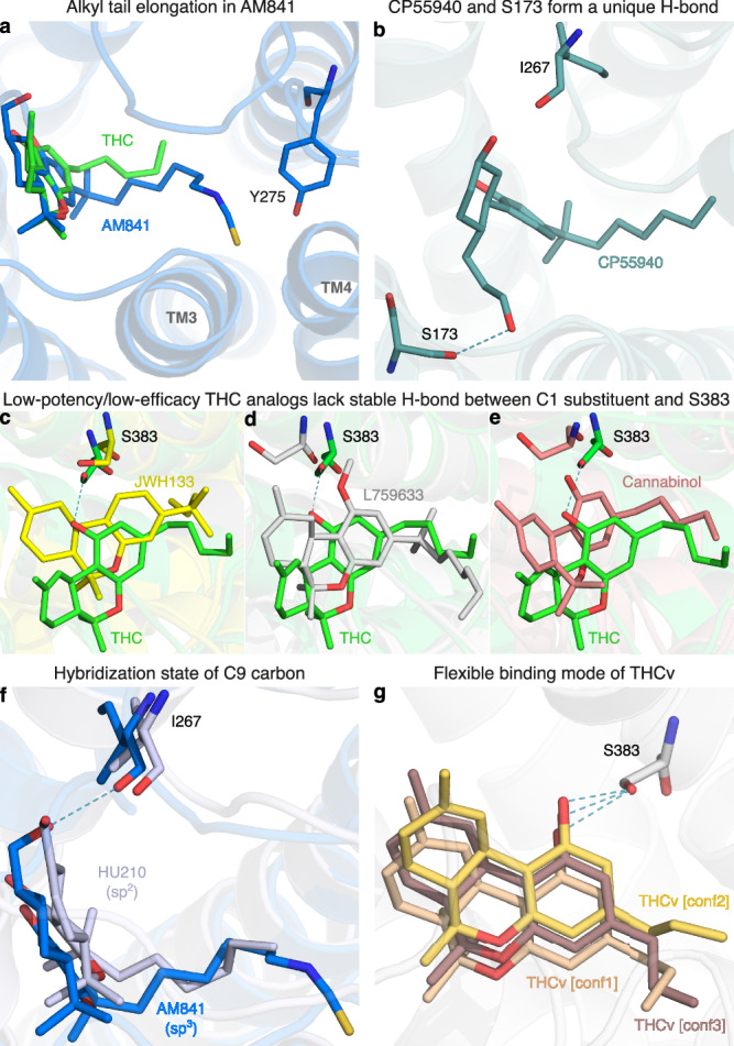 PMC11711184 – Fig5