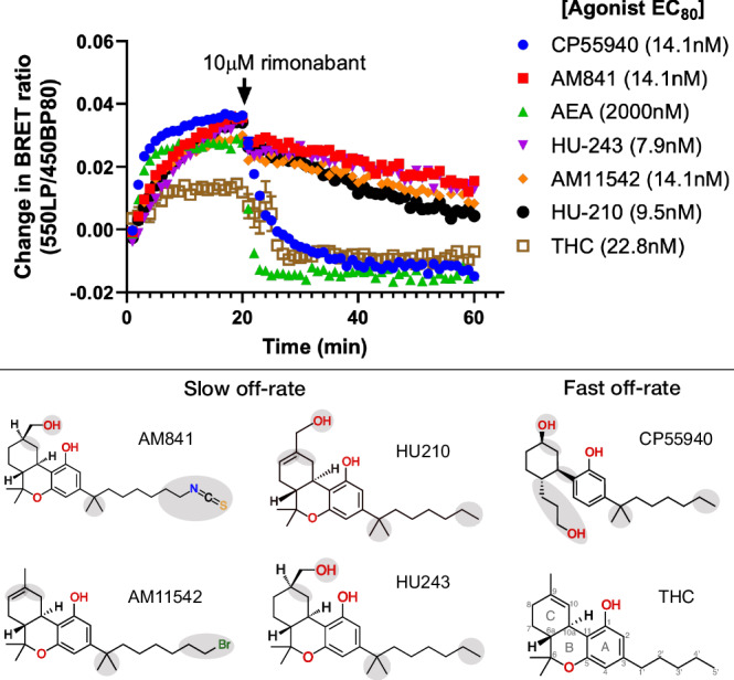 PMC11711184 – Fig6