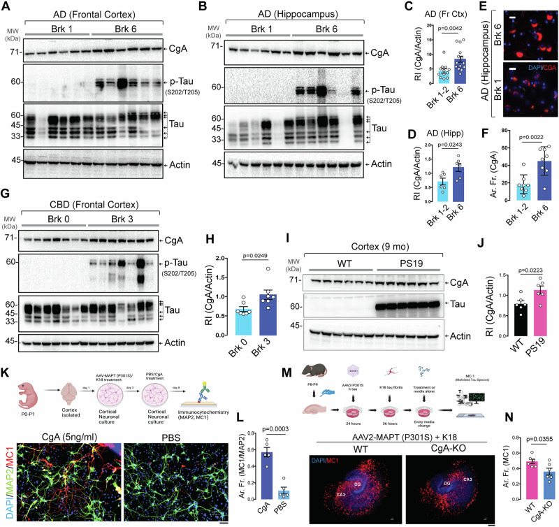 PMC12092710 – Fig1