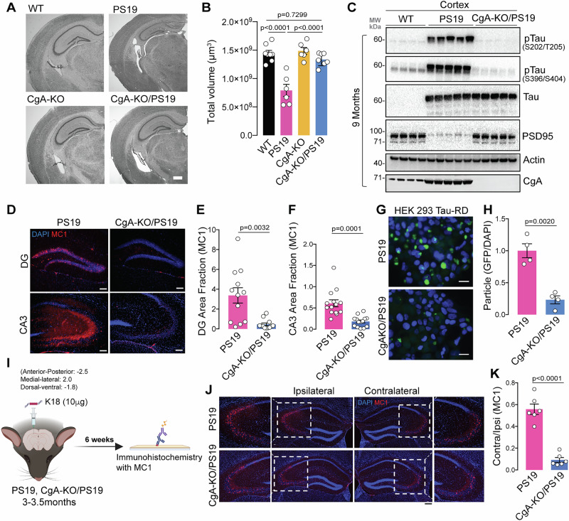 PMC12092710 – Fig2