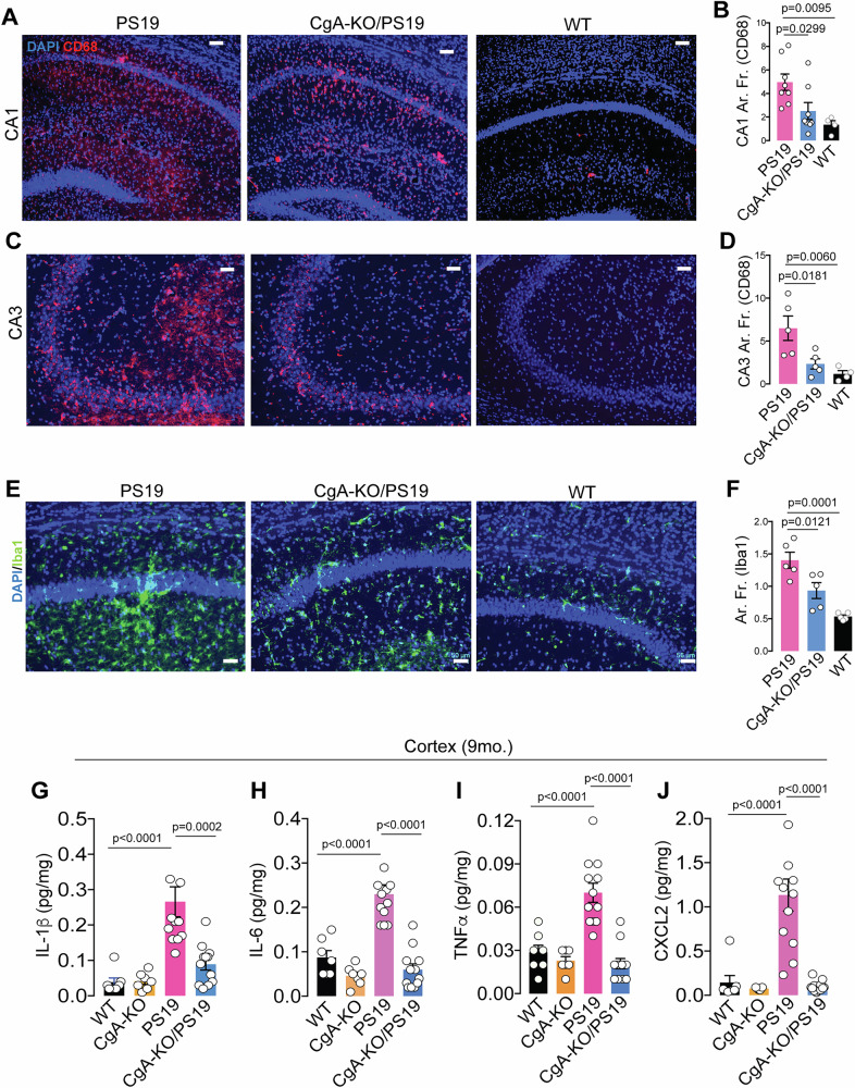 PMC12092710 – Fig4