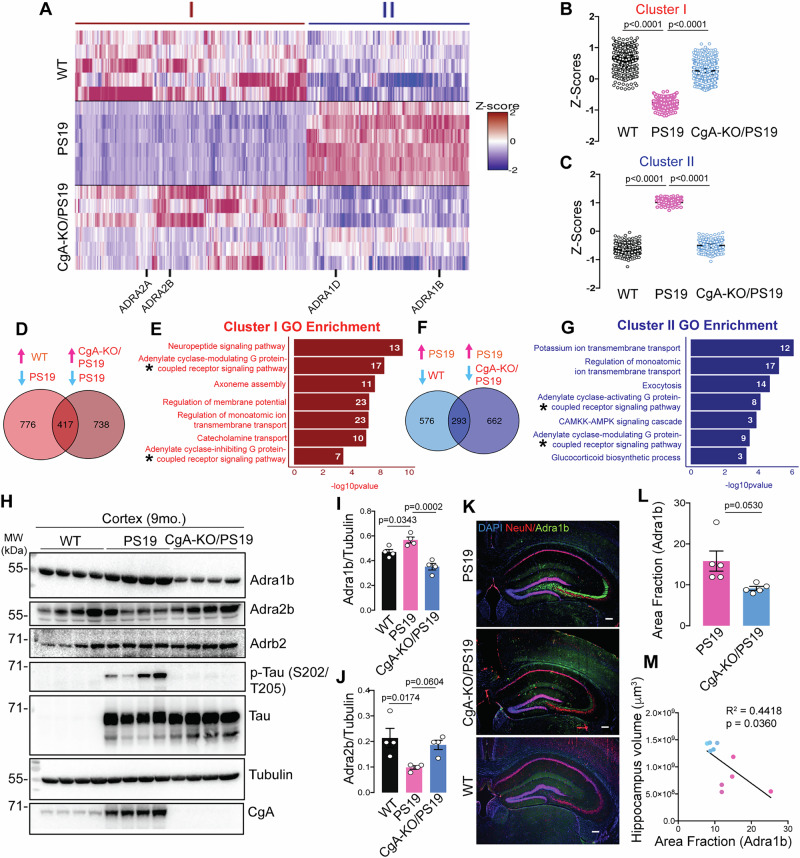 PMC12092710 – Fig5