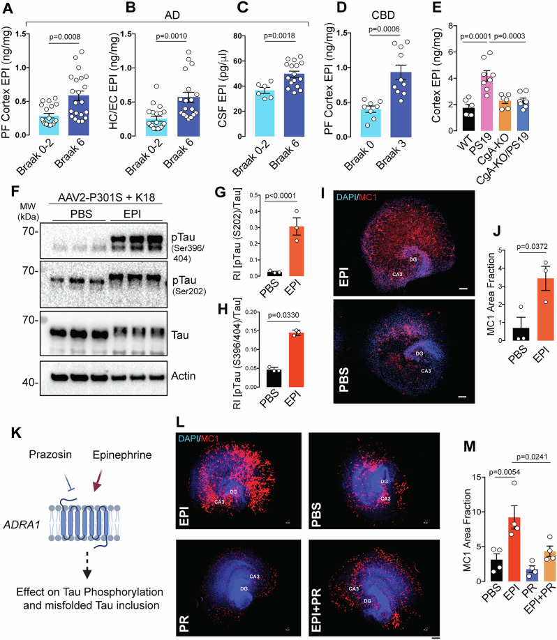 PMC12092710 – Fig7