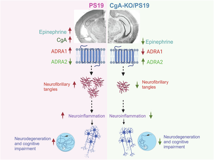 PMC12092710 – Fig8