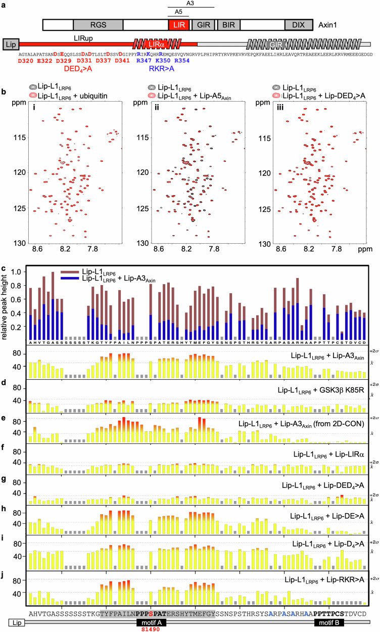 PMC12095580 – Fig2