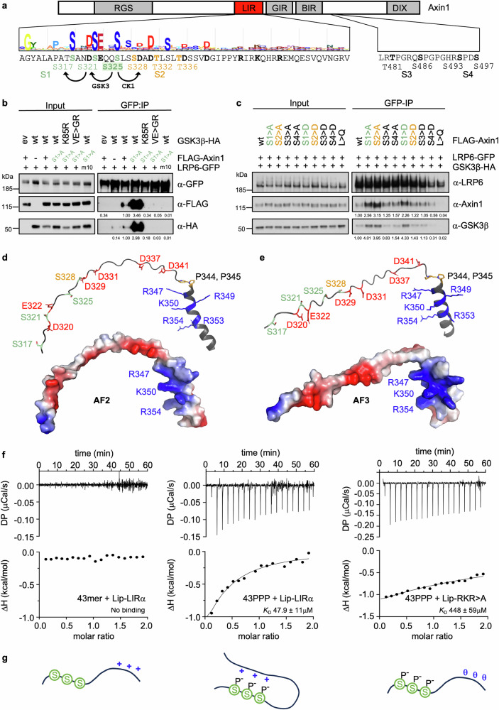 PMC12095580 – Fig4