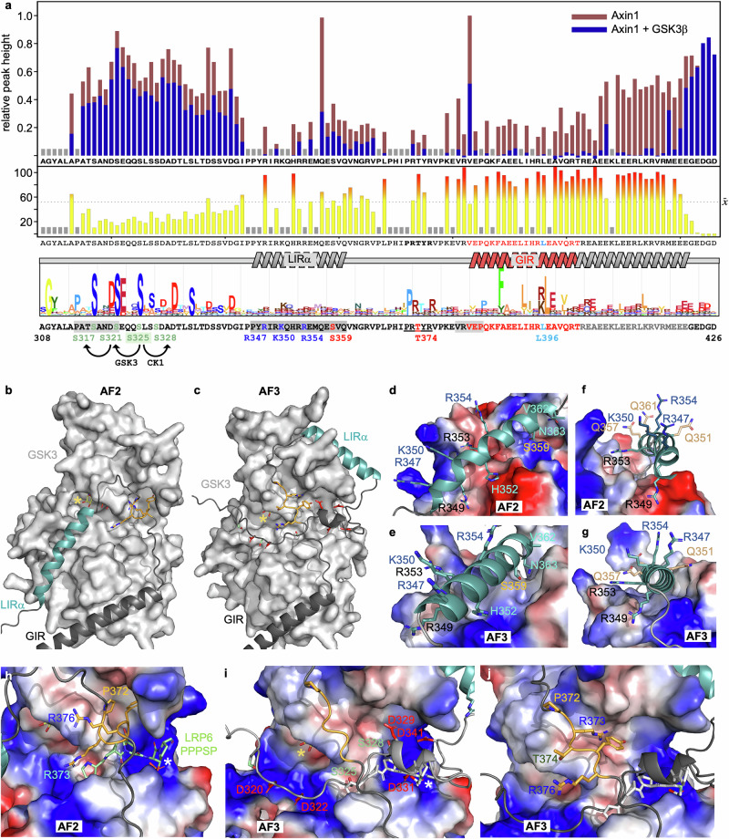 PMC12095580 – Fig5