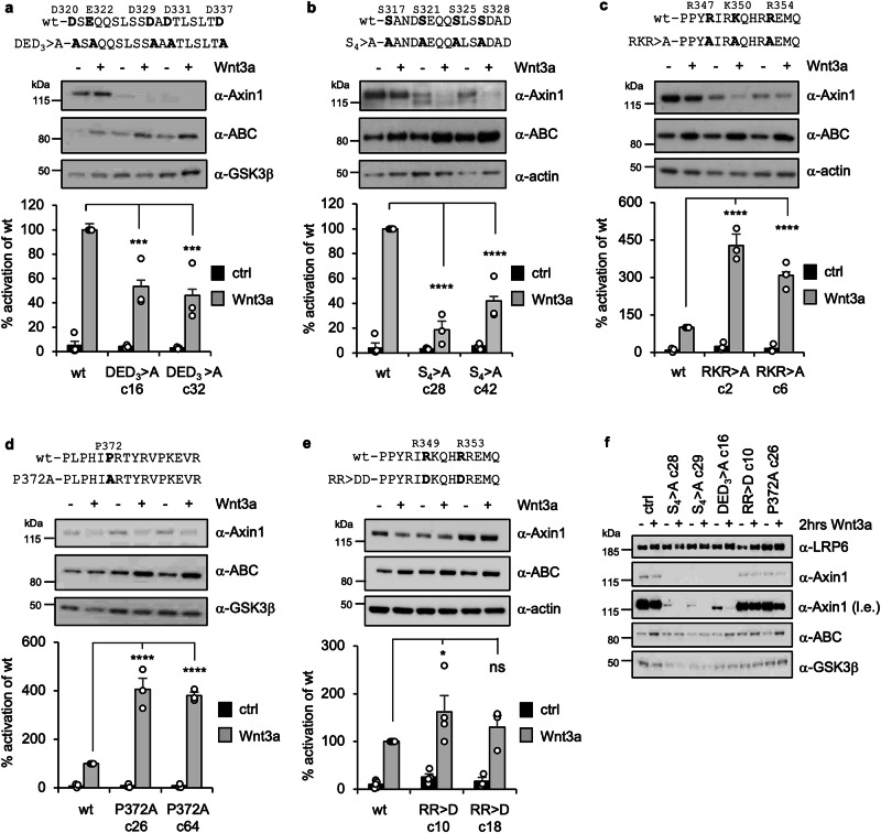 PMC12095580 – Fig6