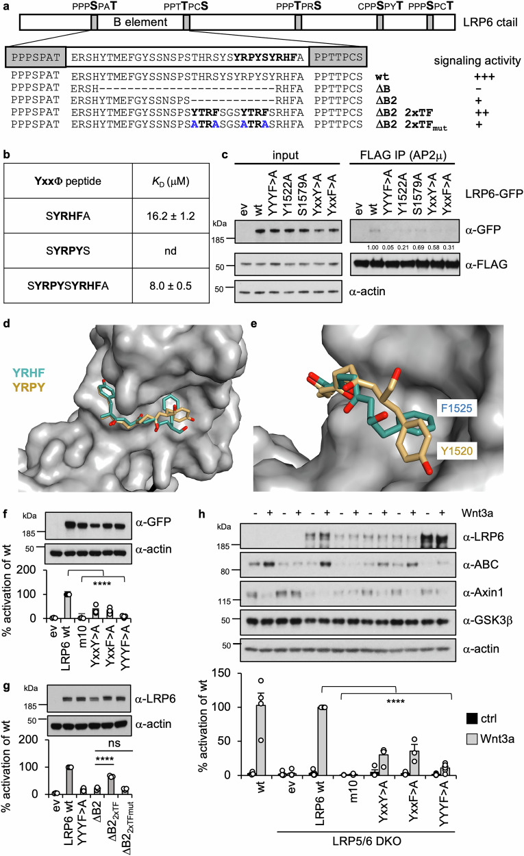 PMC12095580 – Fig7