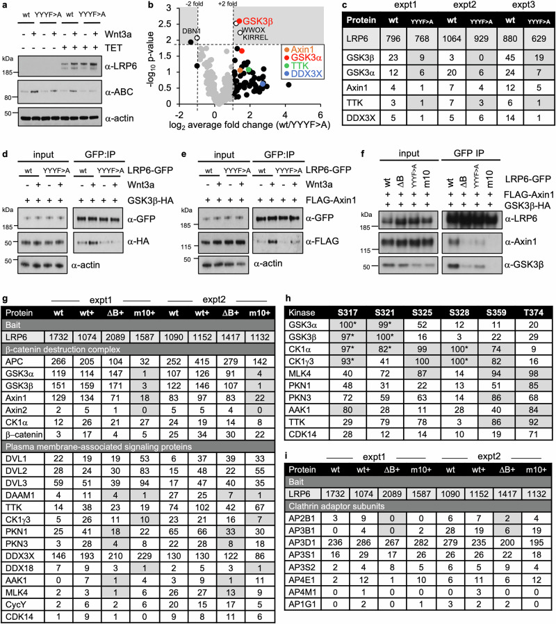 PMC12095580 – Fig8