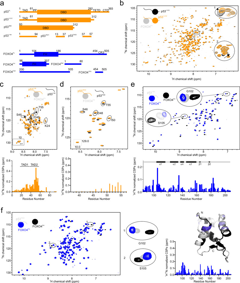 PMC12216184 – Fig1