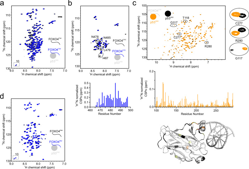PMC12216184 – Fig2