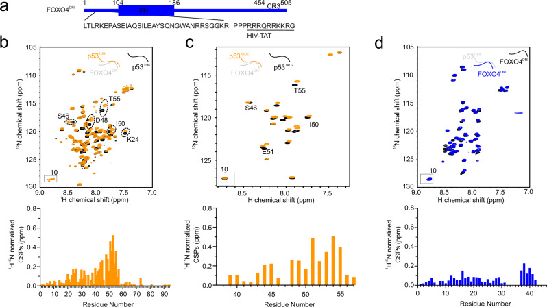 PMC12216184 – Fig4