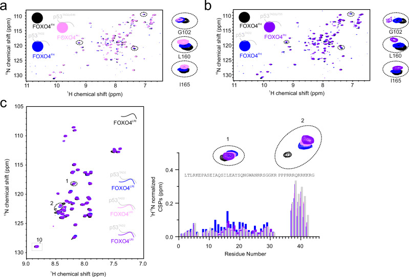 PMC12216184 – Fig6
