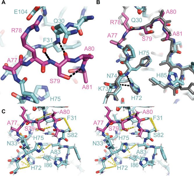 PMC12405487 – Fig2