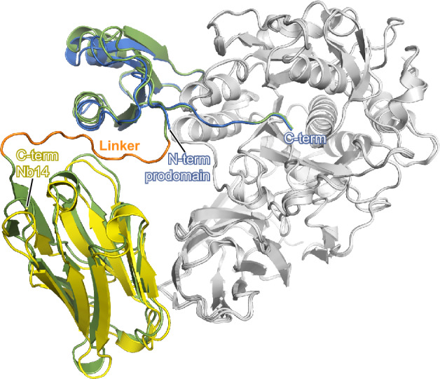 PMC12405487 – Fig3