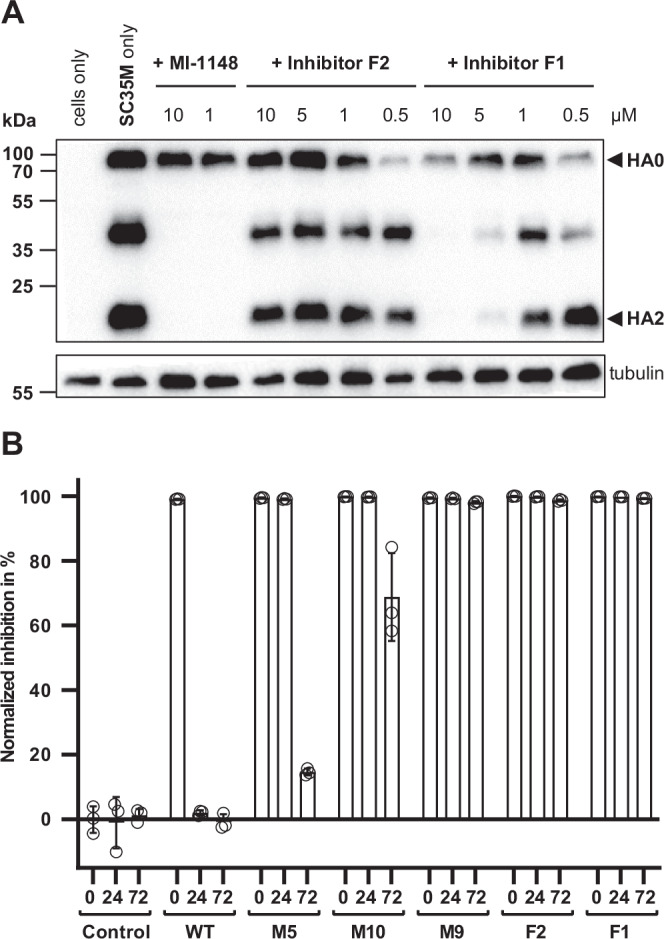 PMC12405487 – Fig5
