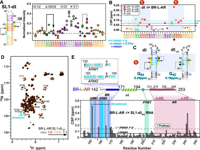 PMC12901311 – Fig2