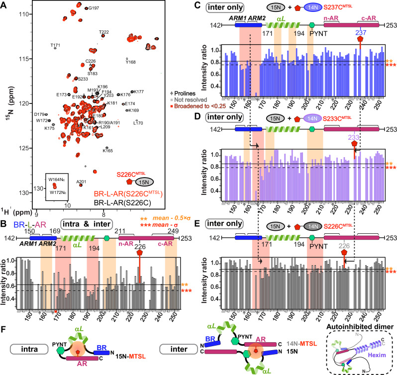PMC12901311 – Fig3