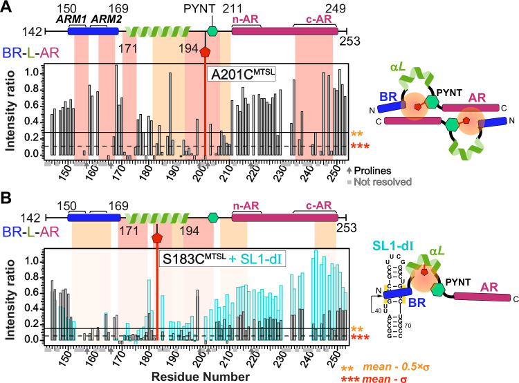 PMC12901311 – Fig4