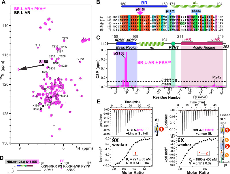 PMC12901311 – Fig6