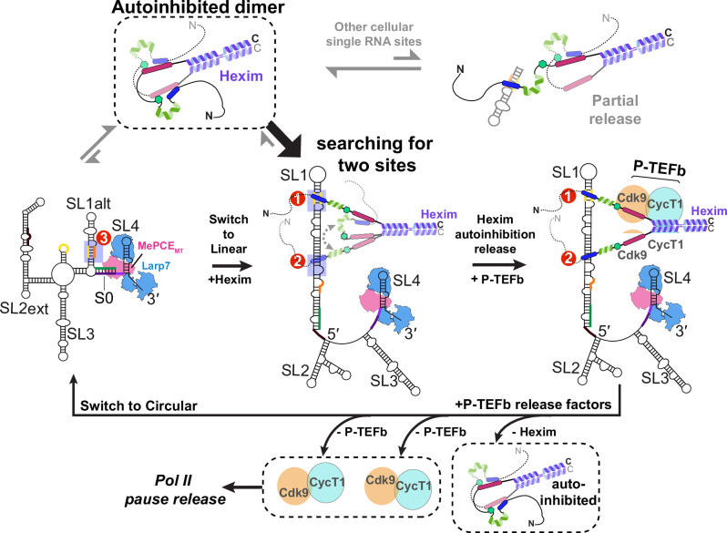 PMC12901311 – Fig8