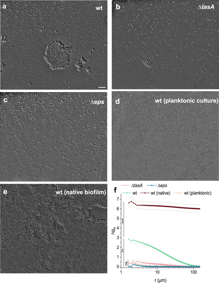 PMC12714748 – Fig4